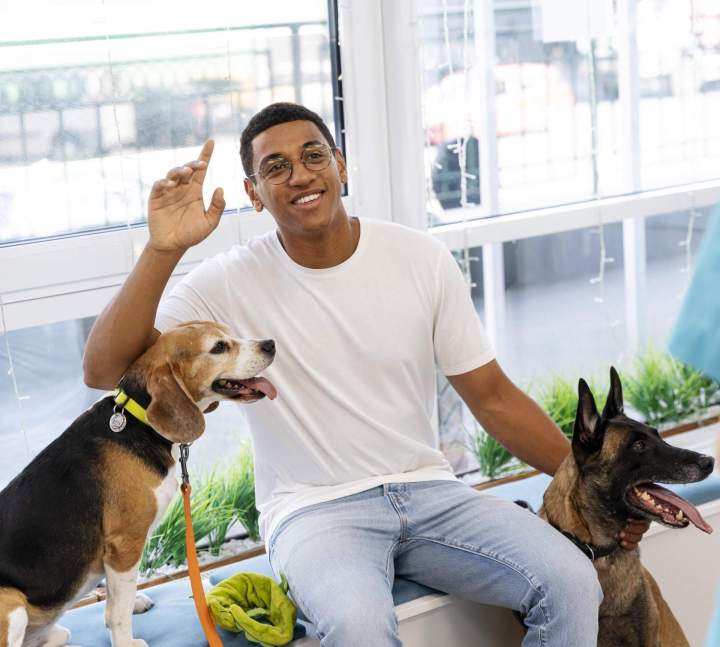 Vétérinaire pour animaux domestiques Guadeloupe